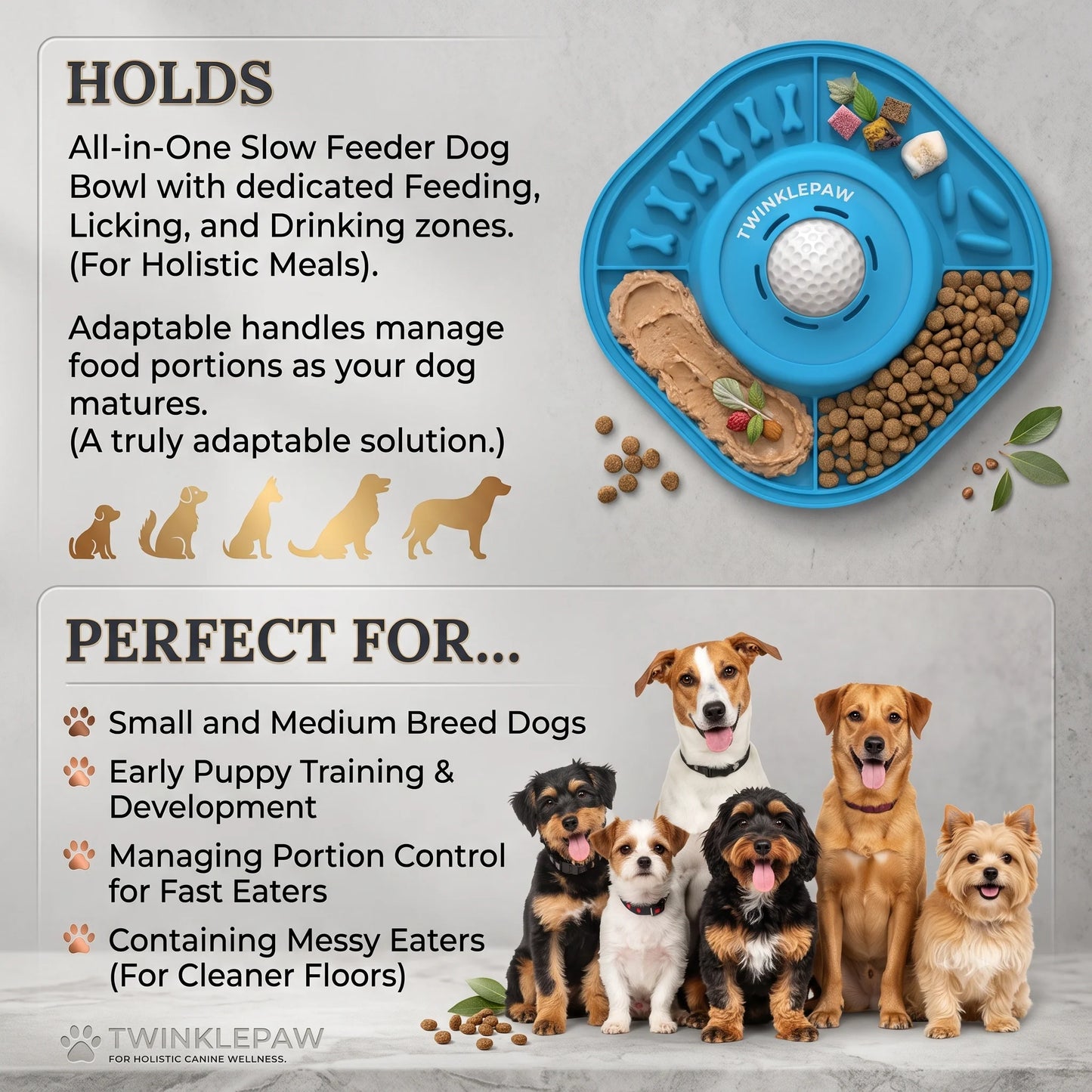 ™ Slow Feeder Enrichment Bowl